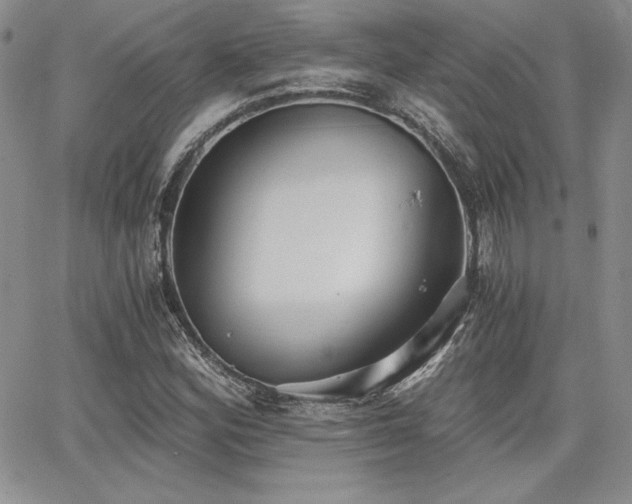 X0000068261164200604211037