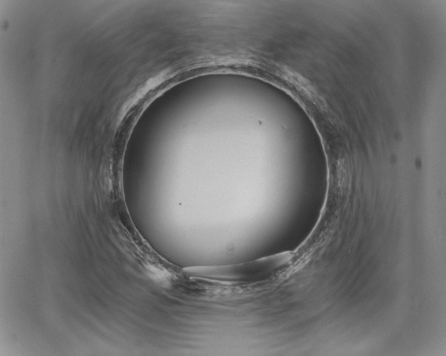 X0000068261165200604211037