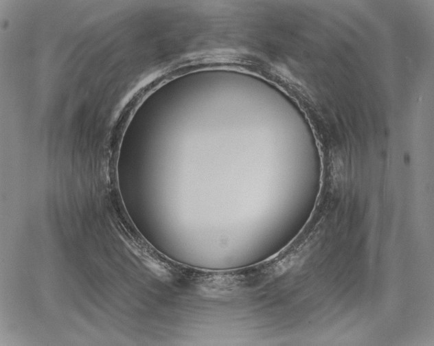 X0000068261166200604211037