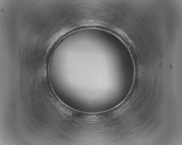 X0000068261167200604211037