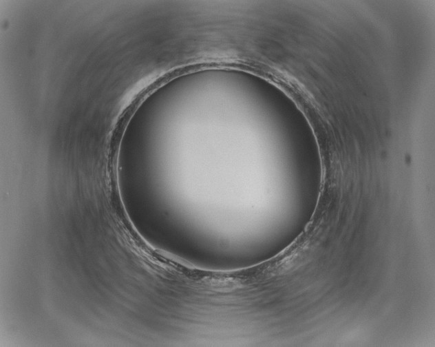 X0000068261168200604211037