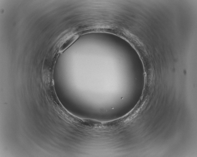 X0000068261169200604211037