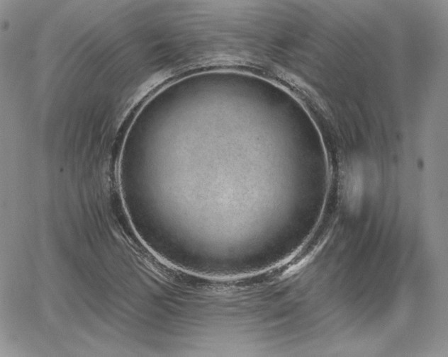 X0000068261170200604211037