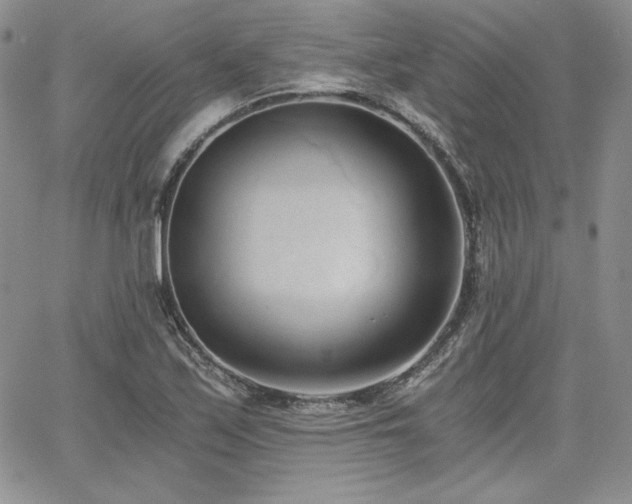 X0000068261171200604211037