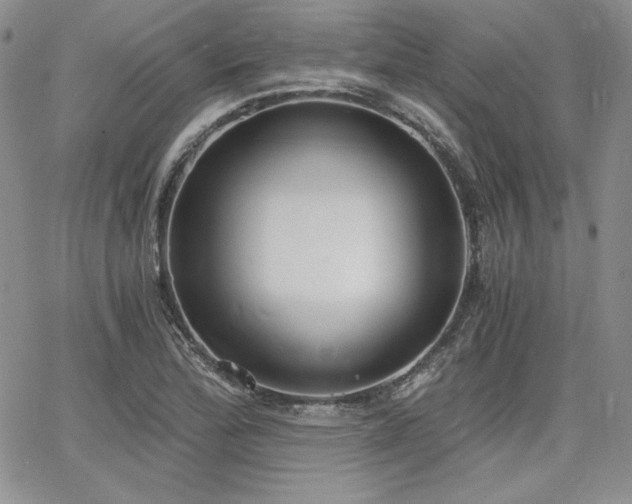 X0000068261172200604211037