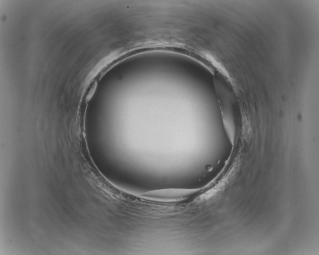 X0000068261173200604211037