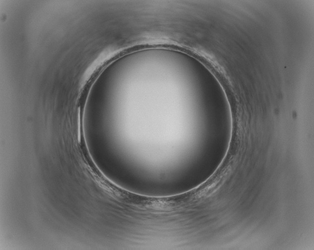 X0000068261175200604211037