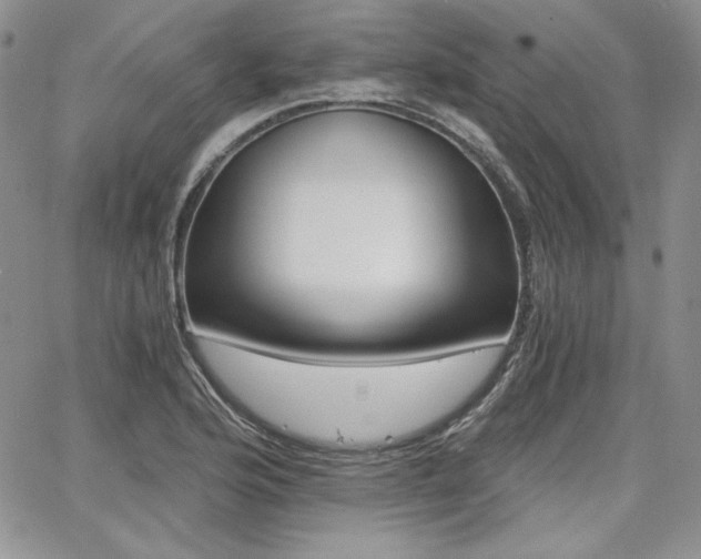 X0000068261176200604211037