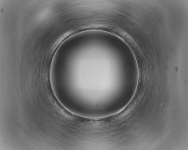 X0000068261177200604211037