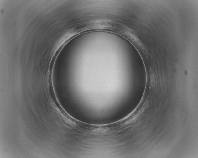 X0000068261178200604211037