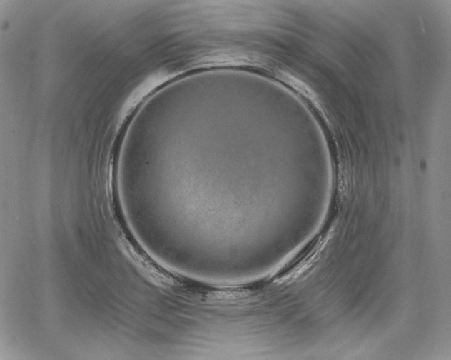 X0000068261179200604211037