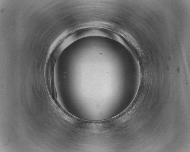 X0000068261180200604211037