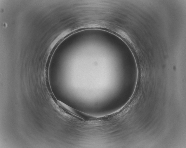 X0000068261181200604211037