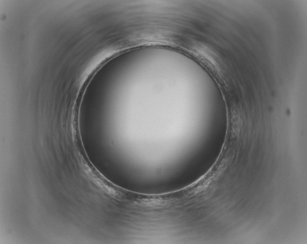 X0000068261182200604211037