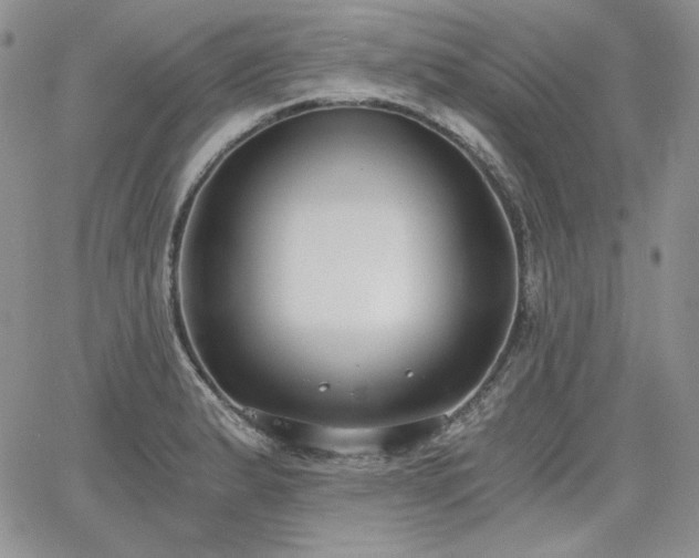 X0000068261183200604211037