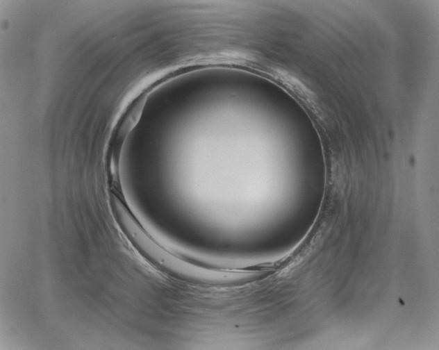 X0000068261184200604211037