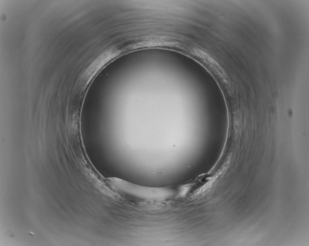 X0000068261185200604211037