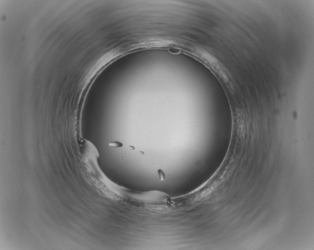 X0000068261186200604211037