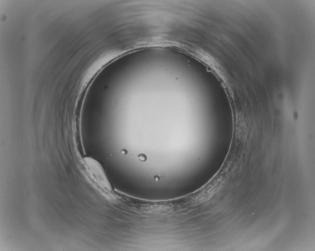 X0000068261187200604211037