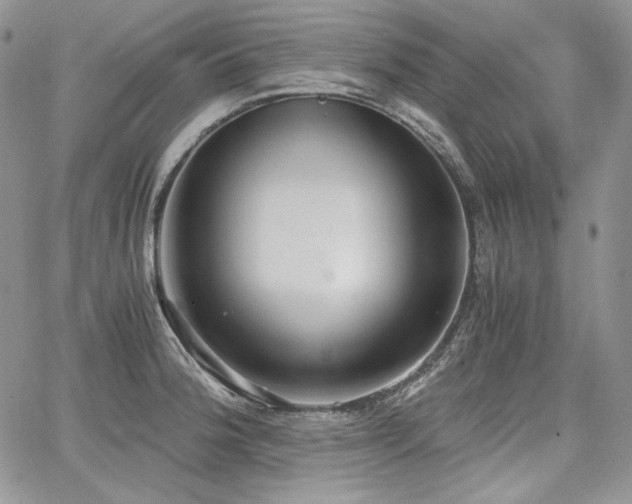 X0000068261188200604211037