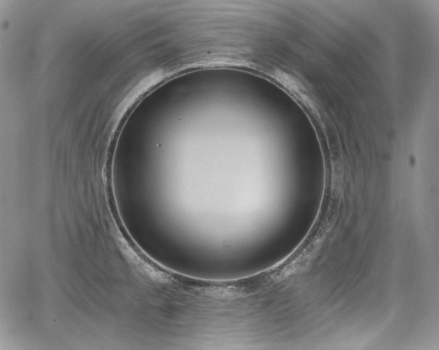 X0000068261189200604211037