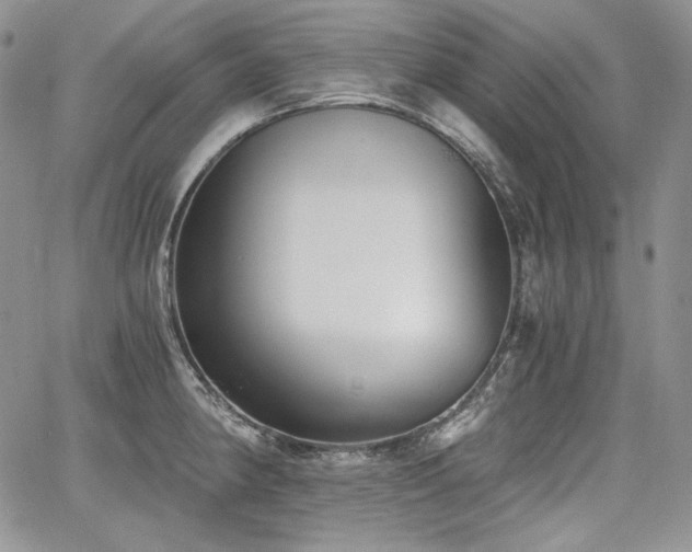 X0000068261190200604211037