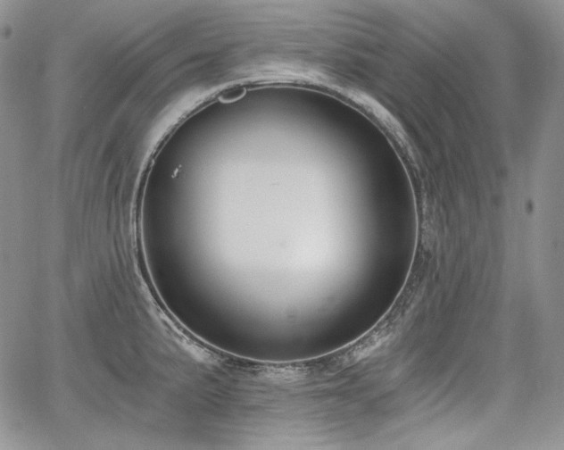 X0000068261191200604211037