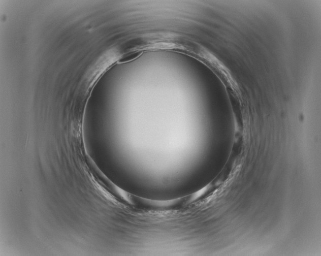 X0000068261193200604211036