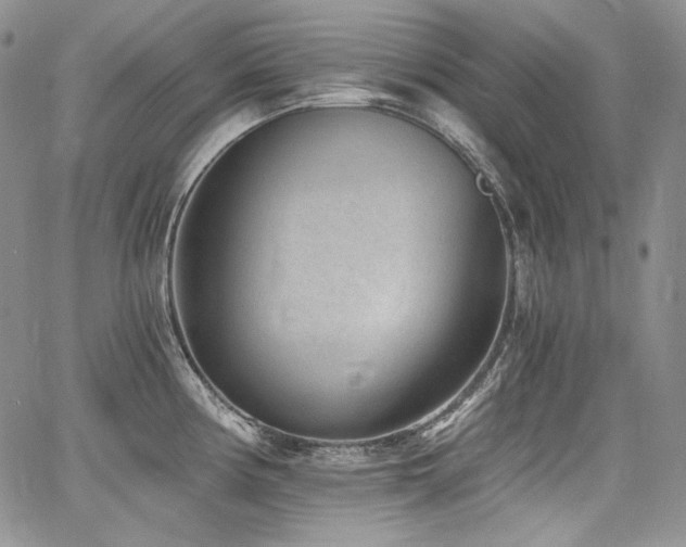 X0000068261194200604211036