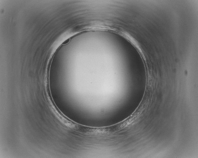 X0000068261195200604211036