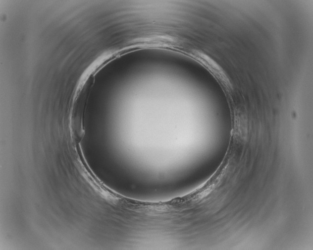 X0000068261196200604211036