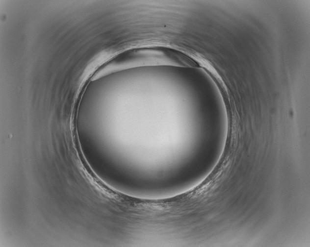 X0000068261197200604211036