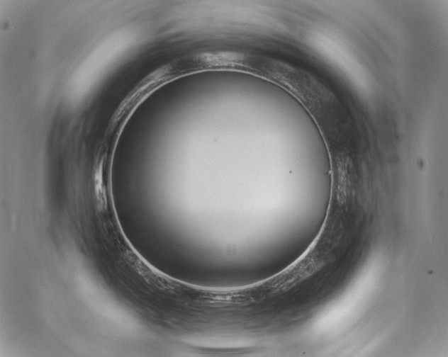 X0000068261198200604211036