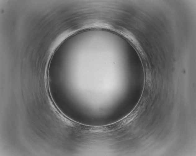 X0000068261199200604211036