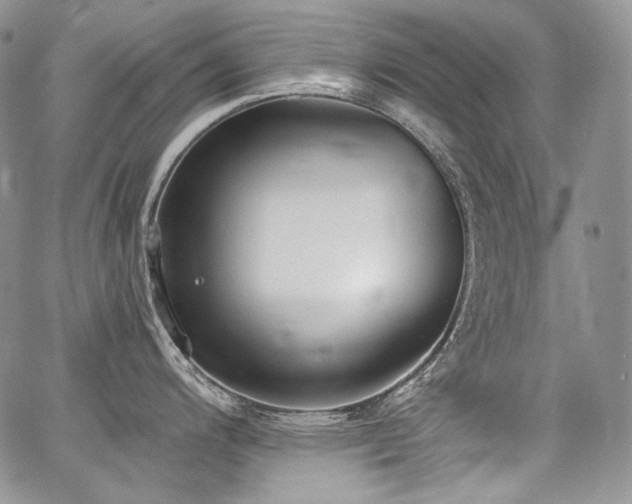 X0000068261200200604211036