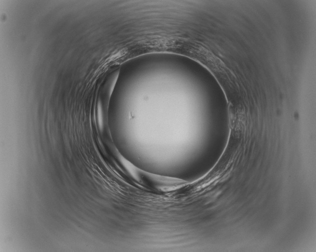 X0000068261202200604211036