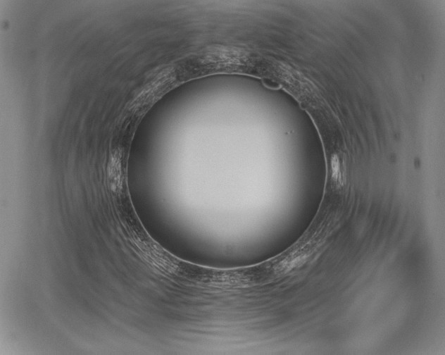 X0000068261203200604211036