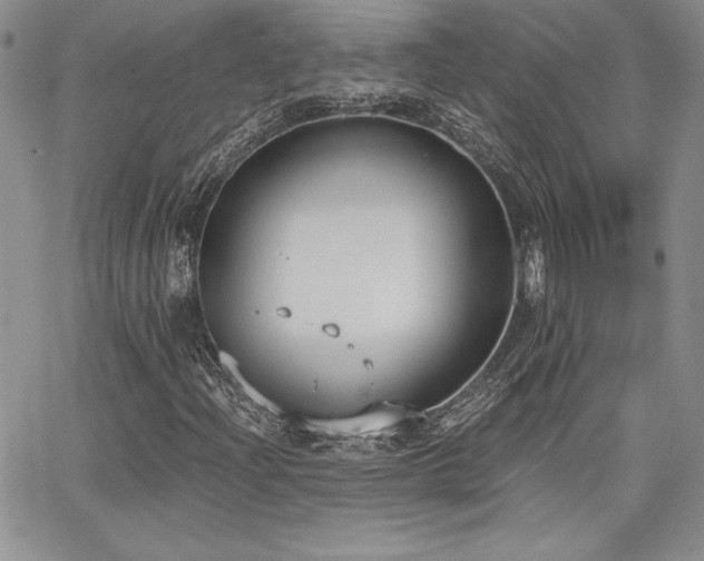 X0000068261204200604211036