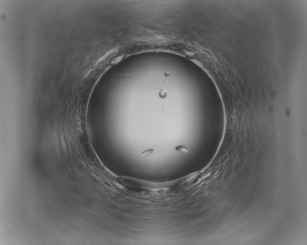 X0000068261205200604211036