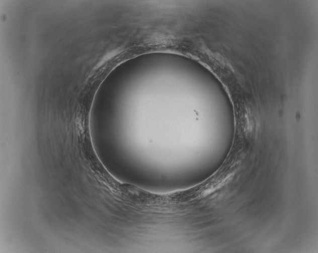 X0000068261206200604211036