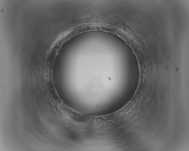 X0000068261207200604211036