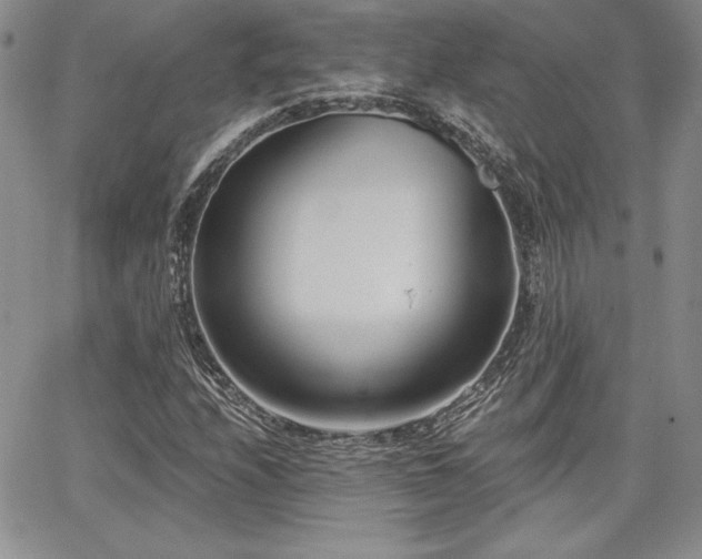 X0000068261208200604211036