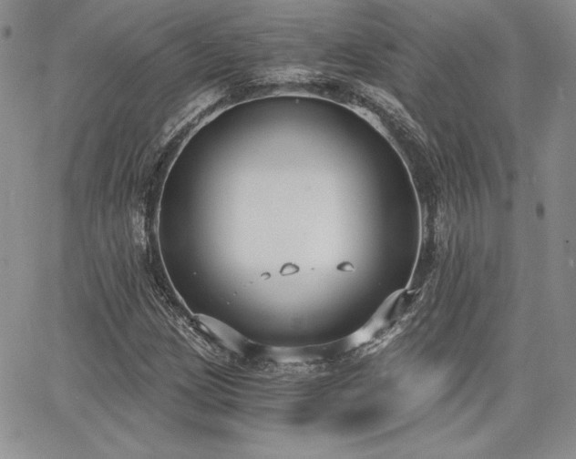 X0000068261209200604211036