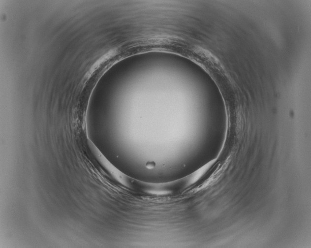 X0000068261210200604211036