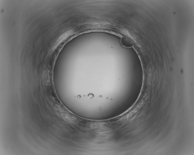 X0000068261211200604211036