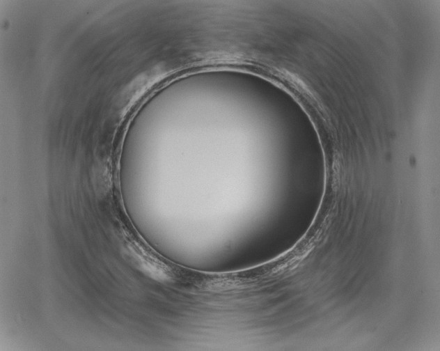 X0000068261212200604211036