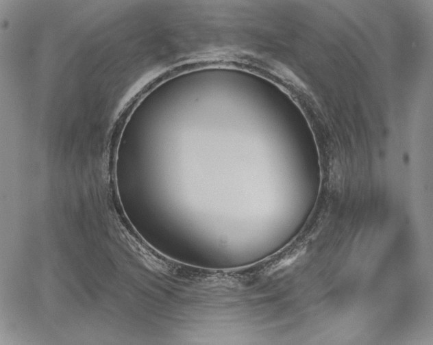 X0000068261216200604211036