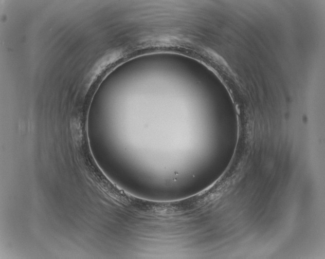 X0000068261218200604211036