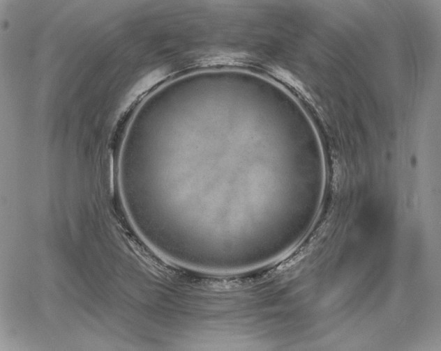 X0000068261219200604211036