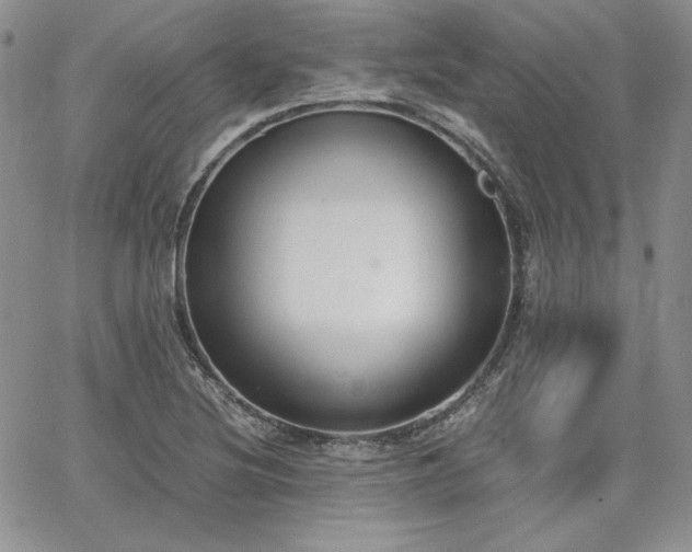 X0000068261220200604211036